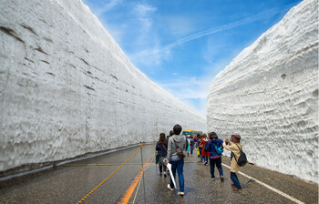В Японии для туристов вновь открылся знаменитый снежный каньон   